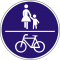 Schild Gemeinsamer Fuß- und Radweg