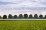 Landschaftsbild Münsterland