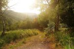 Impression Teutoburger Wald